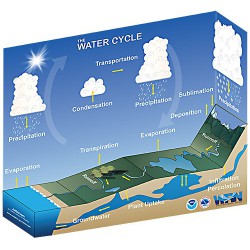 Water Cycle Paper Craft