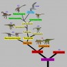Phylogenetics
