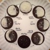 Loony Lunar Phases