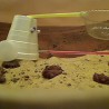 Mars Engineering
