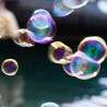 Bubble Sculpting