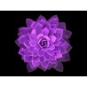 Petal Mandalas