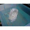 Foil Boats