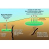 Living with Earthquakes