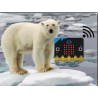 Animal Tracker Image credit: BBC micro:bit