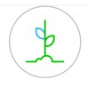 Helping Plants Grow Image credit: BBC micro:bit