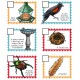 Bird Scavenger Hunt