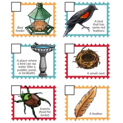 Bird Scavenger Hunt