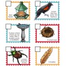 Bird Scavenger Hunt