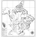 Magnificent Migrations: Mural Activity