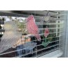 Bird's Eye Art: DIY Window Decals