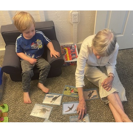 Flight Path Sorting Game Activity: How Big? How Fast? How High? How Far?