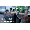 Building for Birds: Film Screening and Taking Action
