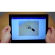 Introduction to Machine Learning: Image Classification